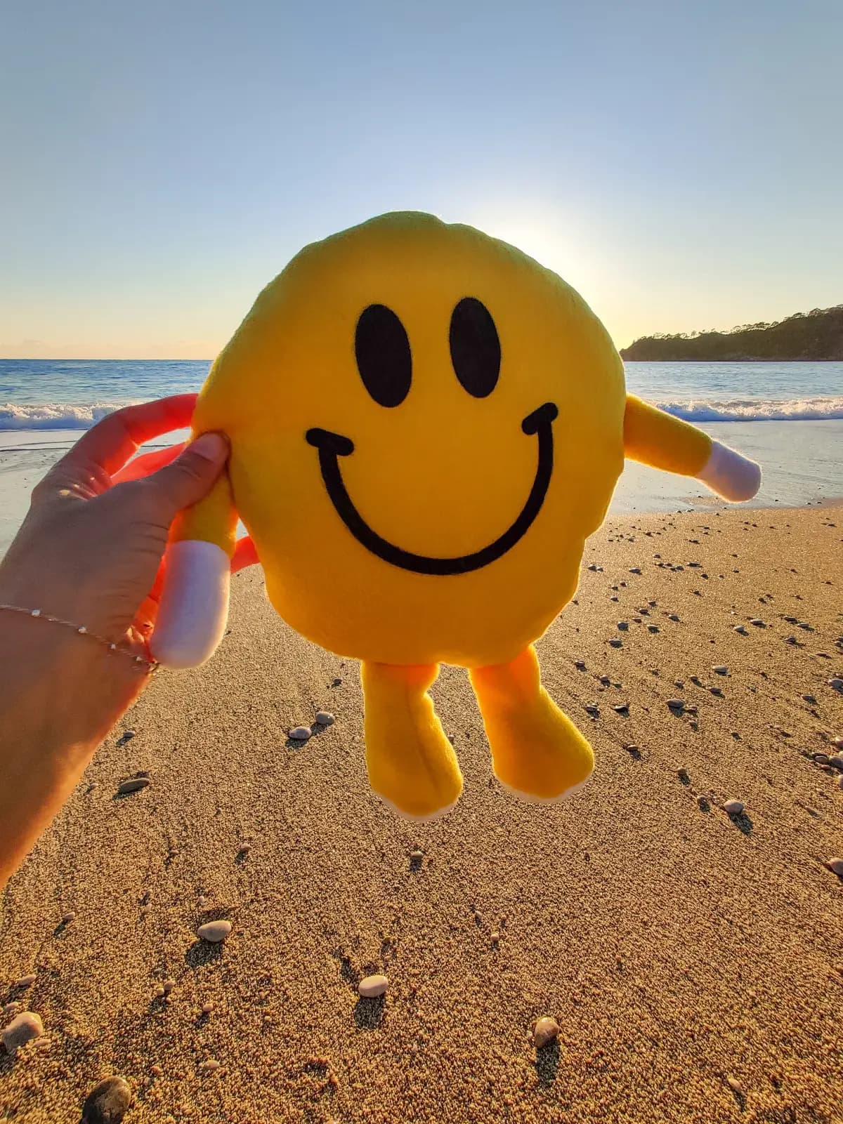 Une peluche souriante au bord de la mer