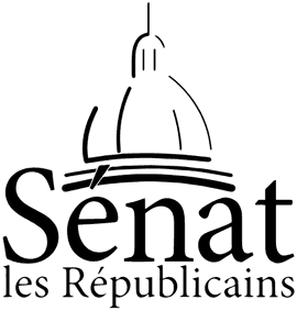 Logo Ronan Le Gleut
