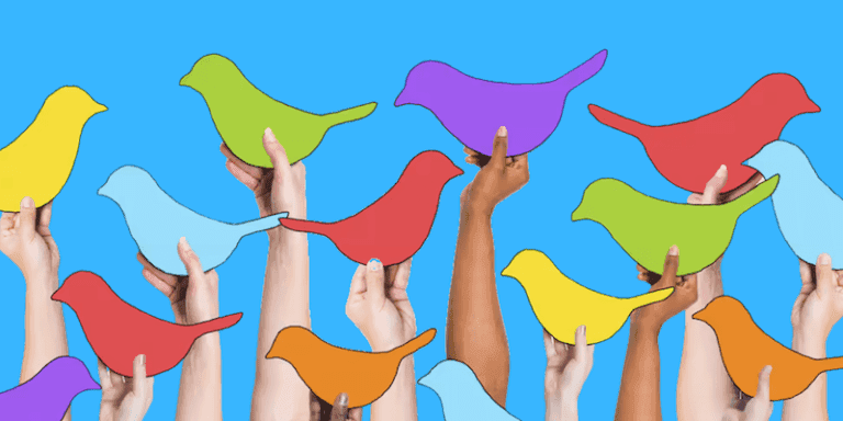 Les successeurs de l’oiseau bleu