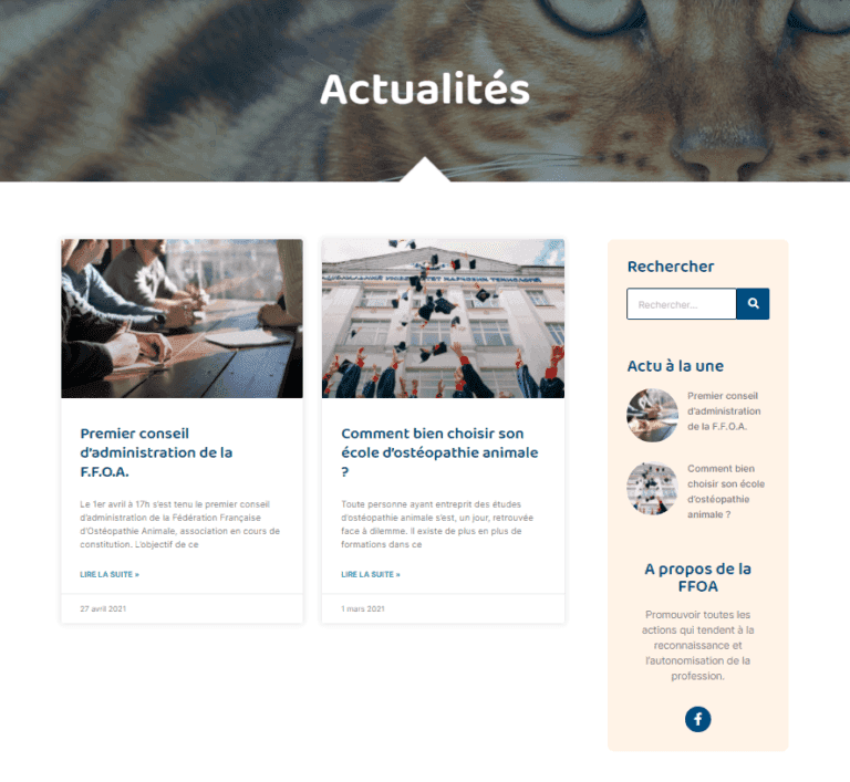 Fédération Française d'Ostéopathie Animale – FFOA, image 3