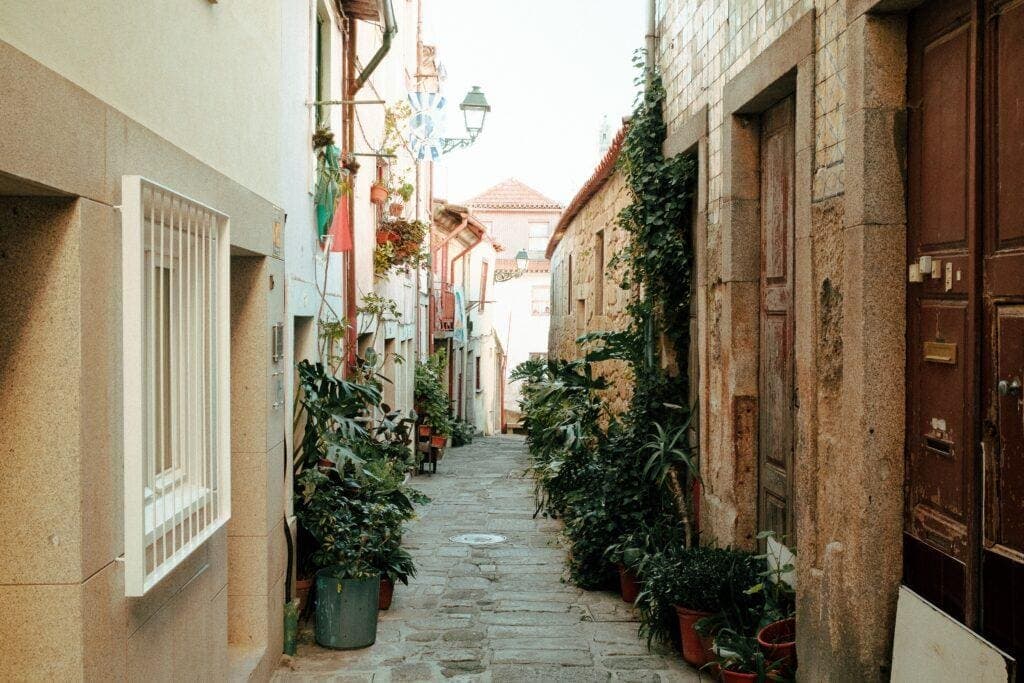 Member of Parliament François Cornut-Gentille, image 1