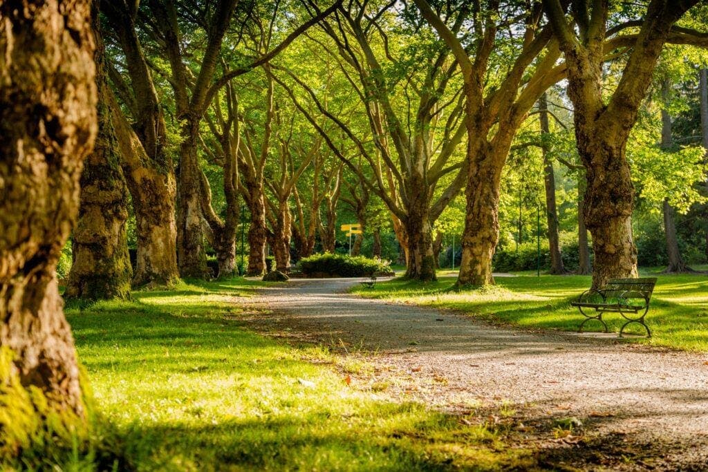 Gilé National Park, visuel 2